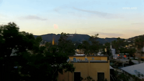 Los Angeles La GIF by HOLLYWOOD LOVE STORY