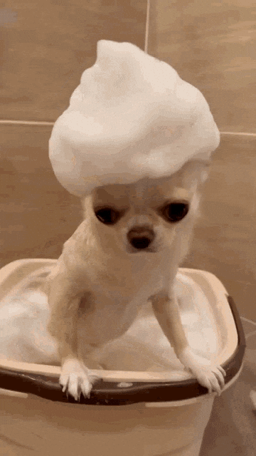 Reaction GIF