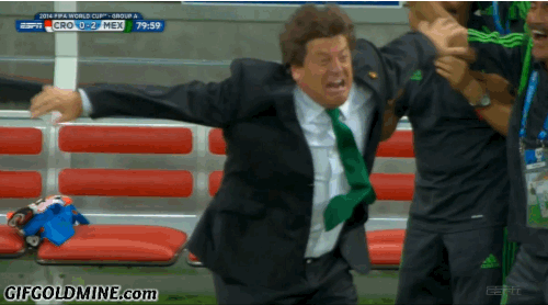 Image result for mexico coach gif