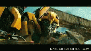 Bumblebee GIF - Find & Share on GIPHY