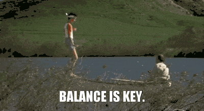 GIF featuring a man trying balance on a board on the shore of a lake in front of a green hill with the caption 