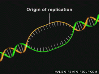 Dna Clipart Animations| (42)++ Amazing Cliparts #DCA | Yespress.info