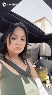 Giong for a ride in funny gifs