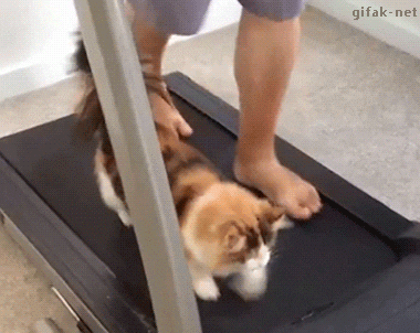 Walk GIF