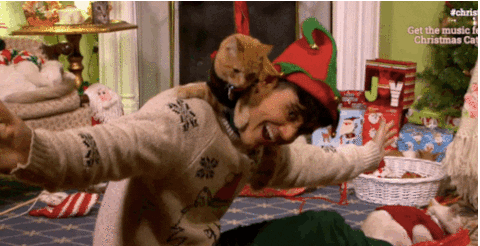 Christmas Cat GIF - Find & Share on GIPHY