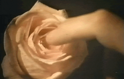 Fingering GIF - Find & Share on GIPHY