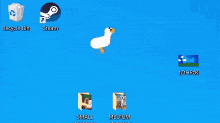 The goose for your desktop in funny gifs