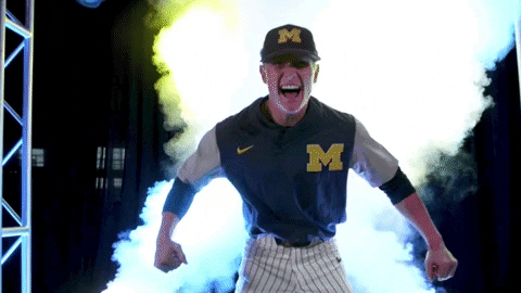 College Baseball Cws GIF by NCAA Championships