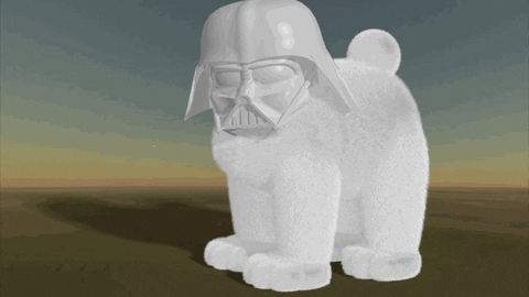 fluffy bear star wars