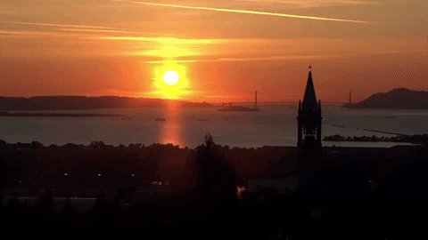 Berkeley Campanile GIF by Cal - Find & Share on GIPHY