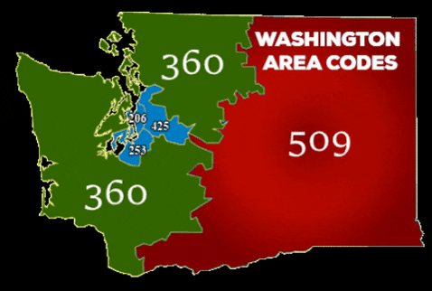 Washington Area Codes