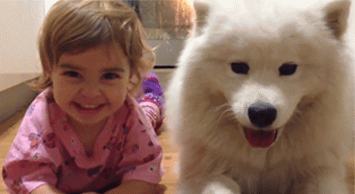 little girl grinning next to white samoyed-like dog