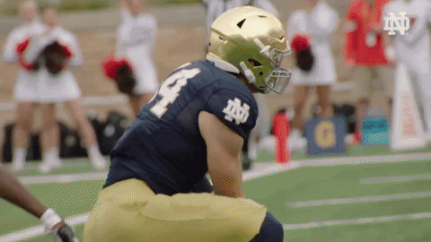 Notre Dame Touchdown GIF by Notre Dame Fighting Irish - Find & Share on