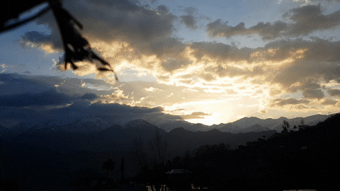 S7 GIF - Find & Share on GIPHY