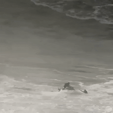 Saving surfer from huge wave in wow gifs