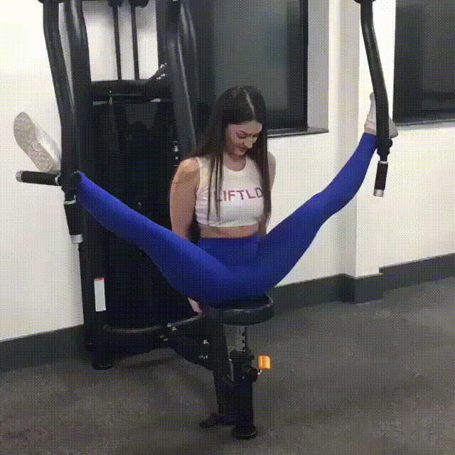 giphy.gif
