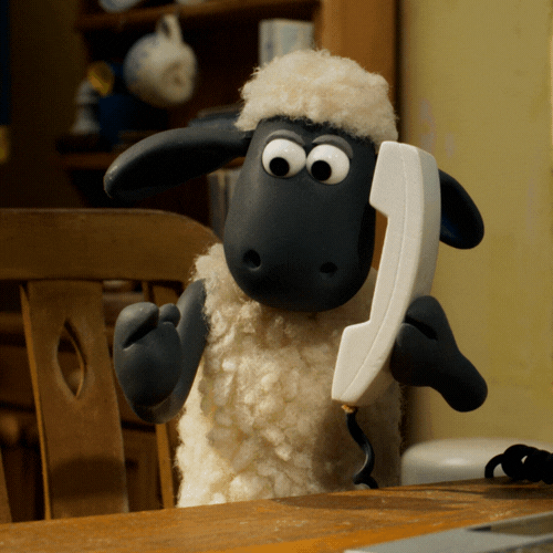 sheep on the phone image