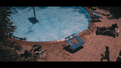 giphy.gif