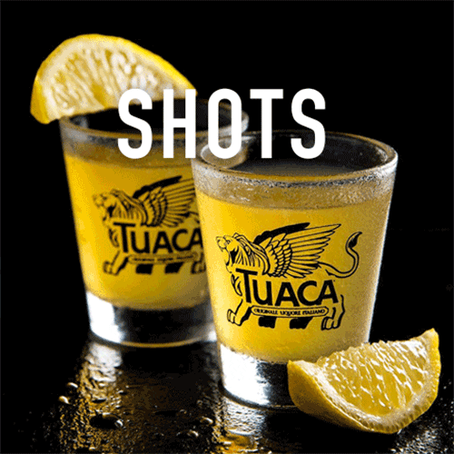 Night Out Drinking GIF by TUACA Find & Share on GIPHY