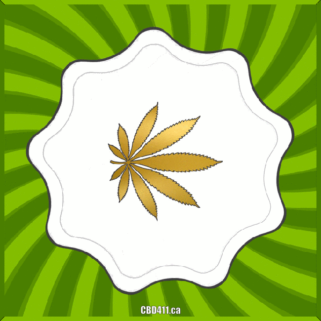 Spinning Marijuana Gold Leaf