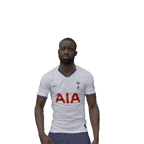 Les Logos De Premier League En Gif Tottenham Hotspur White Paint My