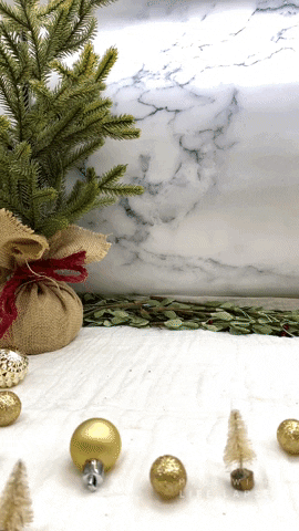 Coffee Thanksgiving GIF by Mama's Cold Brew - Find & Share ...