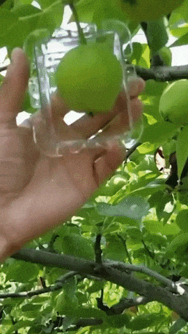 Making square apple in wow gifs