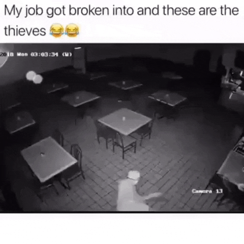 The thieves in funny gifs