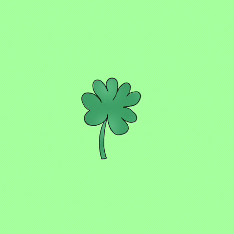 Animated gif of shamrock moving around screen before reading Happy Saint Patrick's Day with rainbow