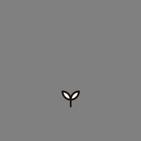 レシピスト GIFs , Get the best GIF on GIPHY