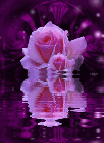 Facebook Happy Birthday Flowers Glitter Free Wiring Diagram For You