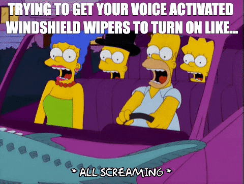 voice activated car features