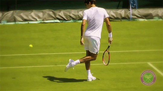 Tennis GIF - Find & Share on GIPHY