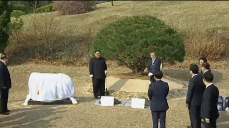 Kim Jong Un and Moon Jae In plant a tree in politics gifs