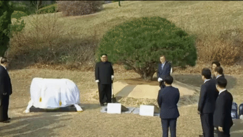 Kim Jong Un and Moon Jae In plant a tree
