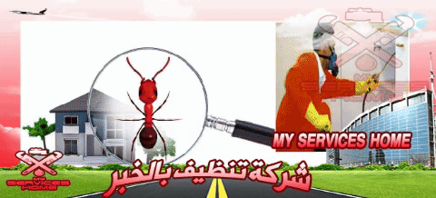 ارقام شركة مكافحة حشرات بالخبر