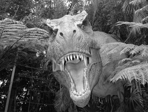 Dinosaur GIF - Find & Share on GIPHY