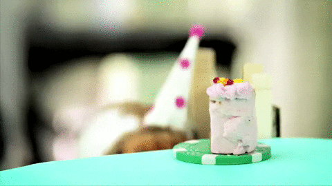 Happy Birthday Eating GIF  Find  Share on GIPHY