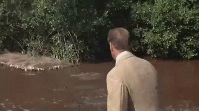 source.gif