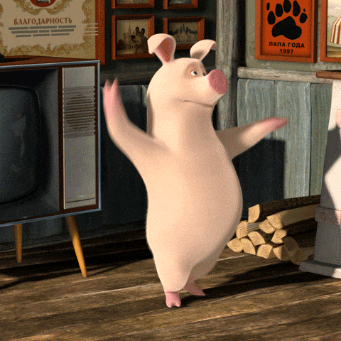 Pig Dance in funny gifs