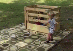 Kids Rodeo GIF - Find & Share on GIPHY