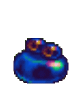 giphy.gif