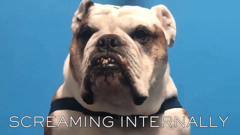 Butler Bulldogs No GIF by Butler University - Find & Share on GIPHY
