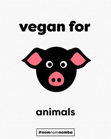 Vegan GIF by Nomba Candies - Find & Share on GIPHY