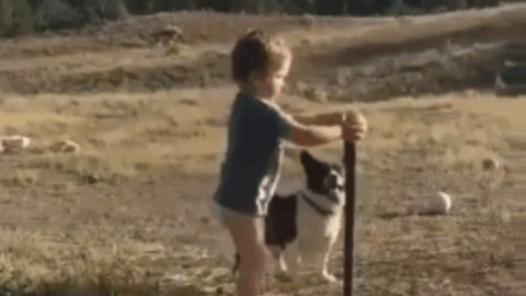 Go Get the ball best Gif