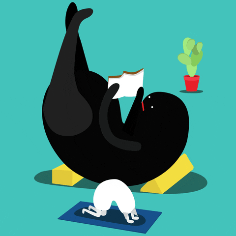 a stretching character reading a book next to a cat doing yoga