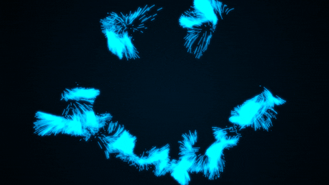 giphy.gif