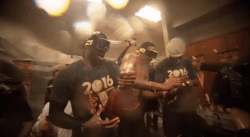 Best Popping Bottles Gifs Primo Gif Latest Animated Gifs