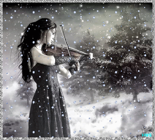 Violin GIF Find & Share on GIPHY