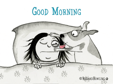Tired Good Morning GIF by Red & Howling - Find & Share on GIPHY